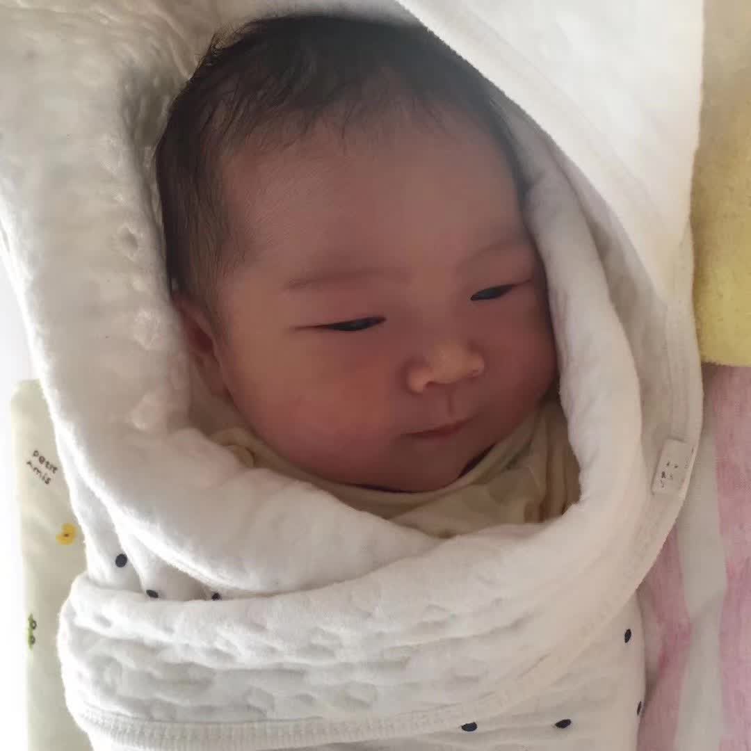 成功案例