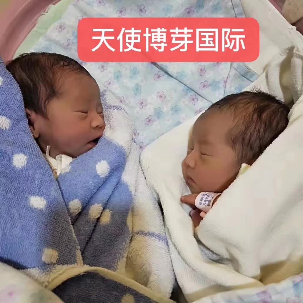 成功案例
